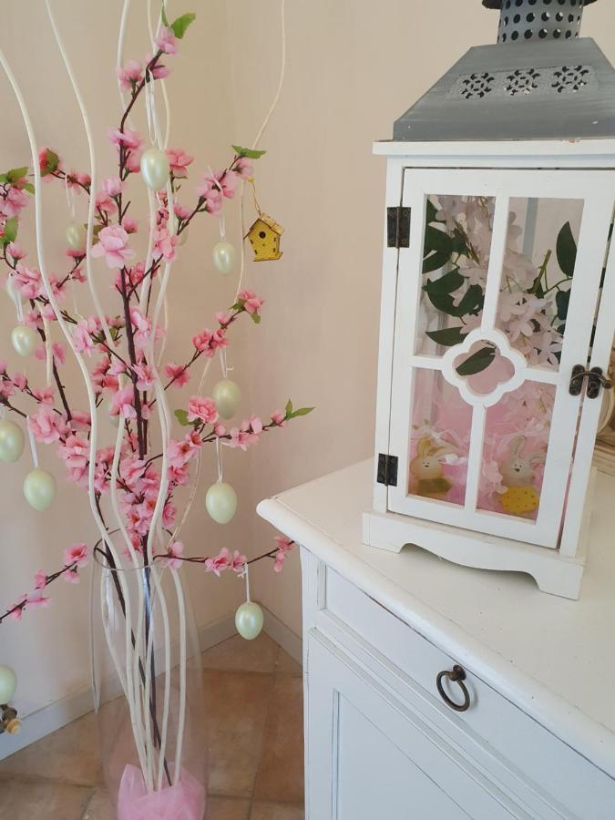 B&B Villa Maria Terni Bagian luar foto