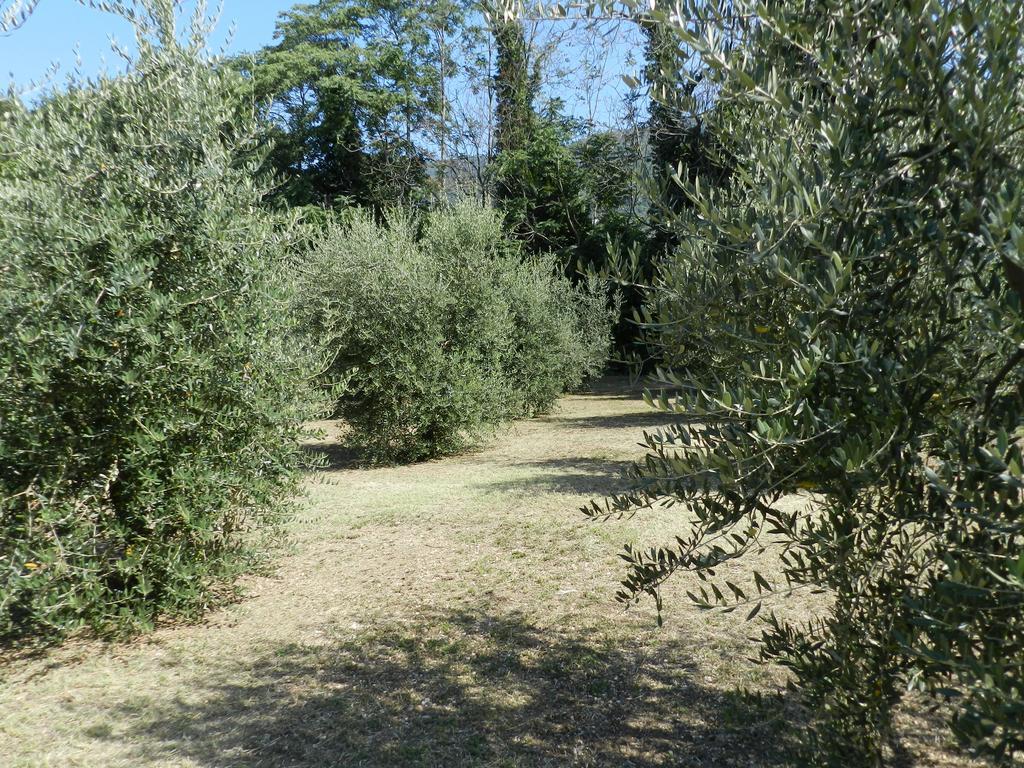 B&B Villa Maria Terni Ruang foto