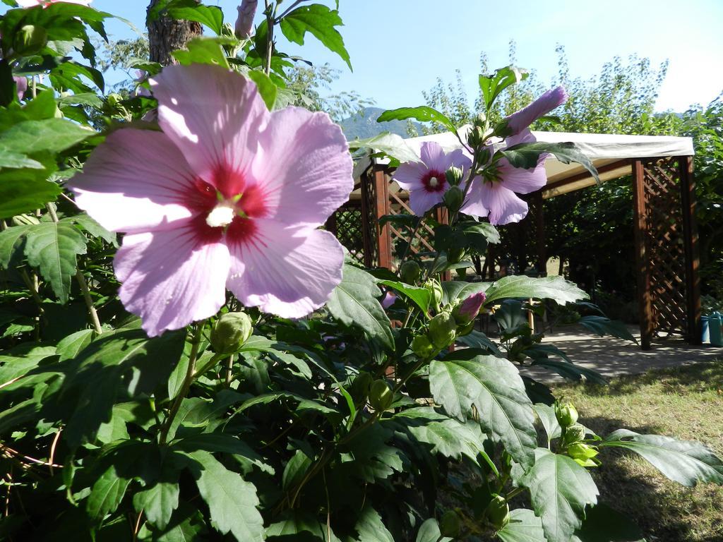 B&B Villa Maria Terni Bagian luar foto
